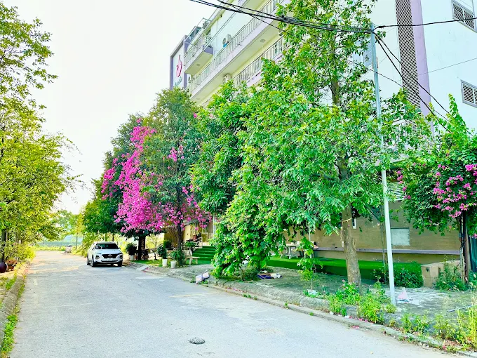 Dien Hong 介護施設センター　第2支店